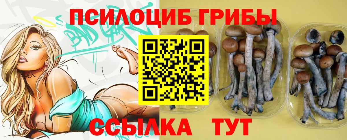 Псилоцибиновые грибы мицелий  Вход с VPN  Галлюциногенные грибы Psilocybine cubensis  Россия 