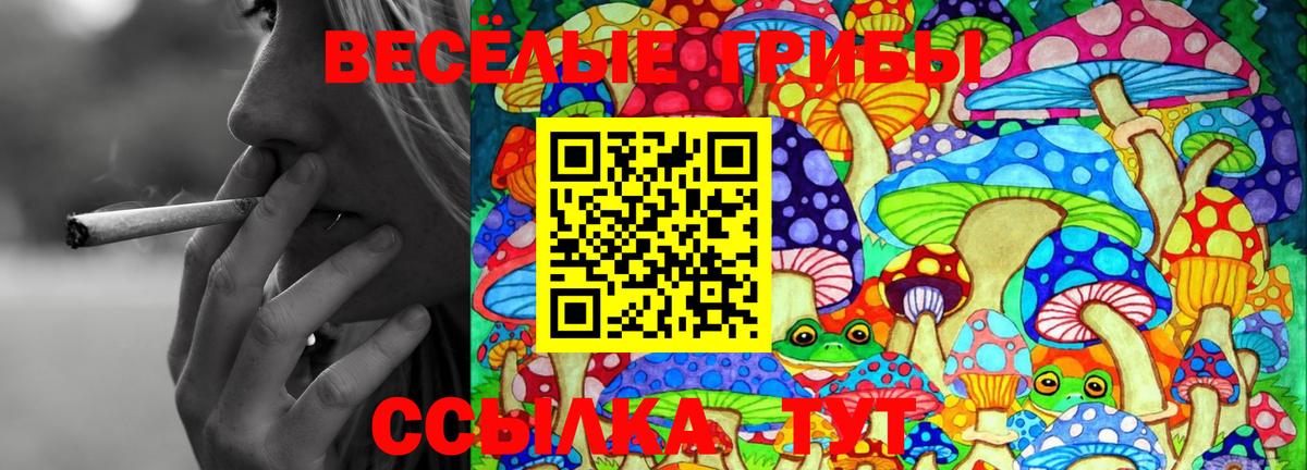 Галлюциногенные грибы Cubensis Россия