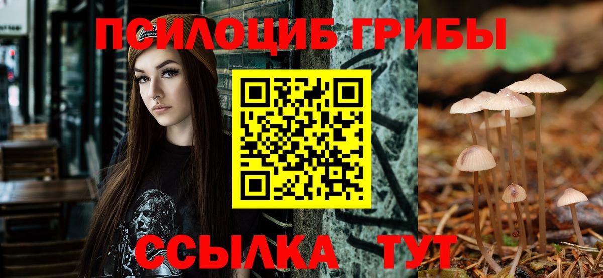 Бошки Шишки Россия